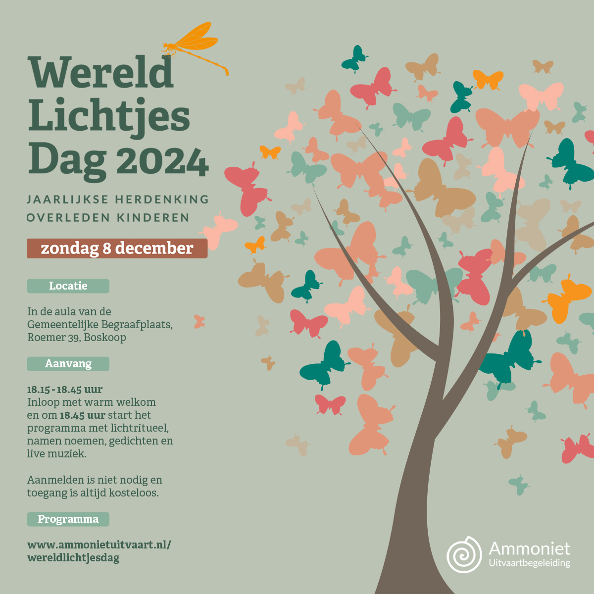 Wereldlichtjesdag Boskoop - Alphen 8 december