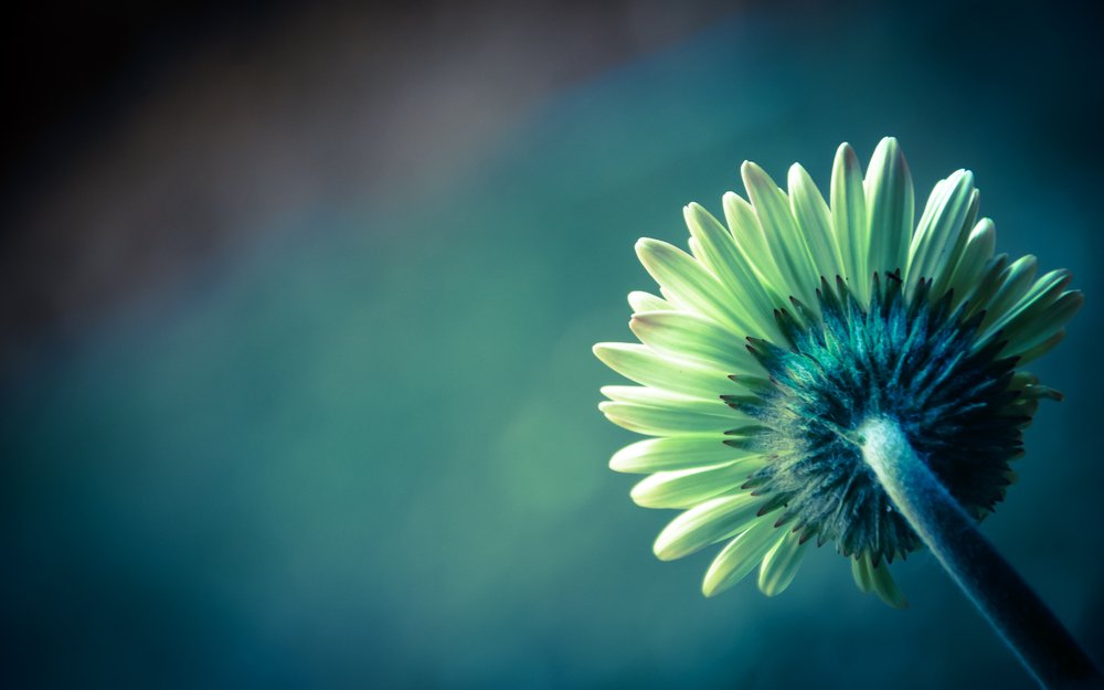 Wat doet rouw met je lichaam?